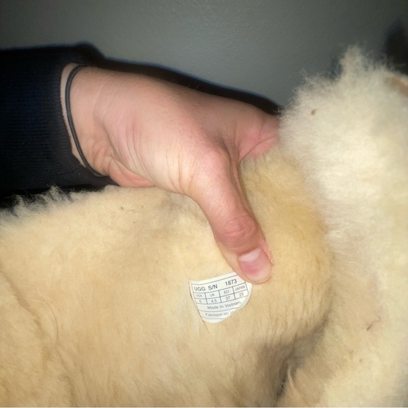 Bailey button UGG boots - Picture 3 of 4